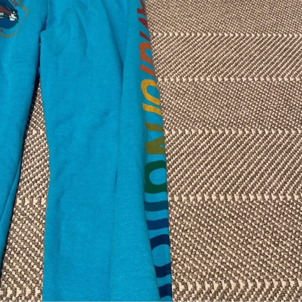 Aviator nation blue sweatpants